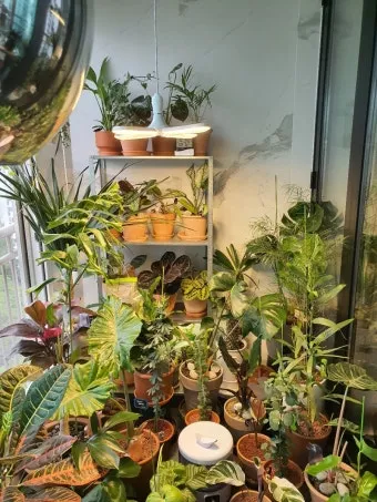 타이머 세팅 자동점등 소등루틴 식물등사용 습관 만들기 편리한 관리_13