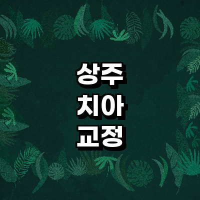 상주시 교정 치과