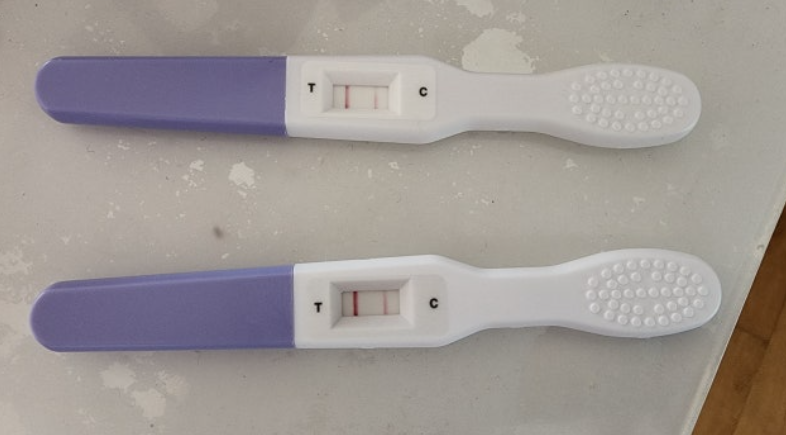 미우새 갱년기테스트기