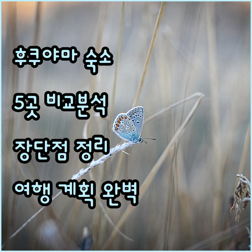 후쿠야마 여행 숙소 고민? 5곳의 특