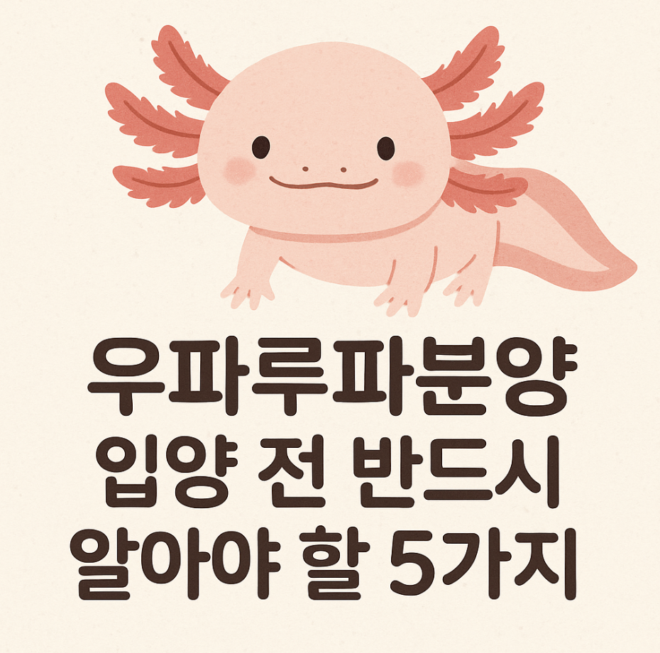 우파루파분양, 입양 전 반드시 알아야 할 5가지