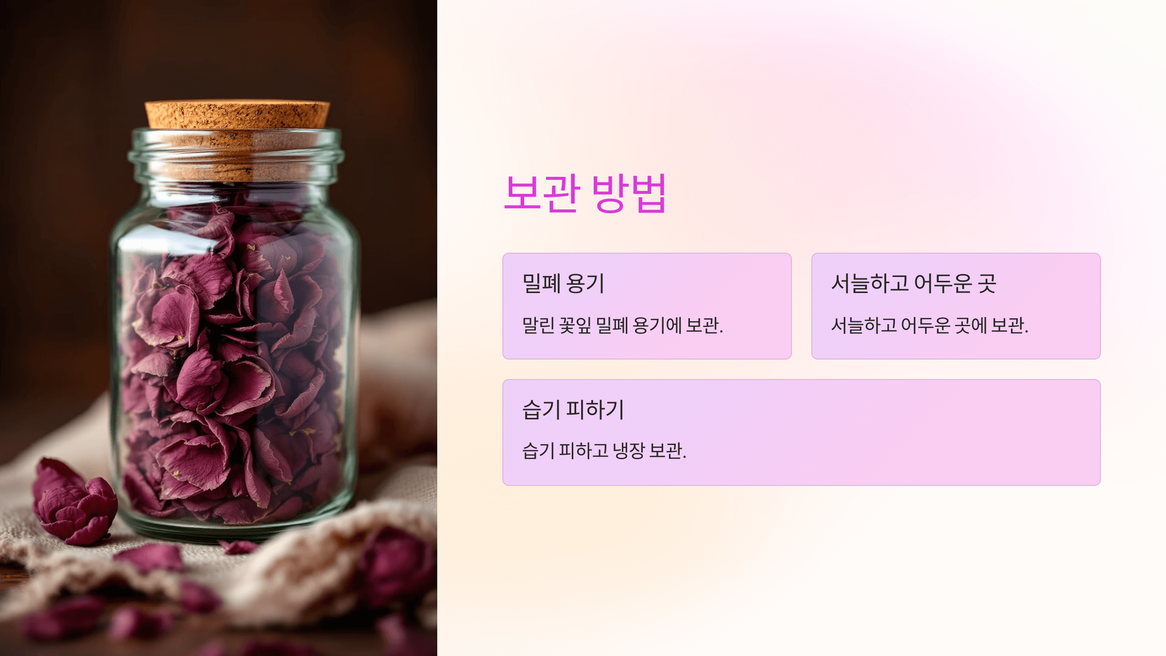 모란꽃 사진입니다.