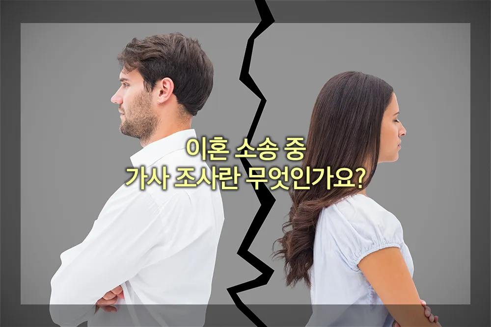 이혼 소송 가사 조사란