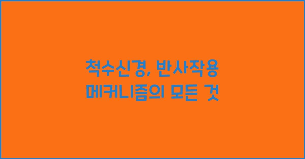 척수신경, 반사작용 메커니즘