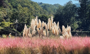 당일치기/가을/힐링/여행 /제이드/가든