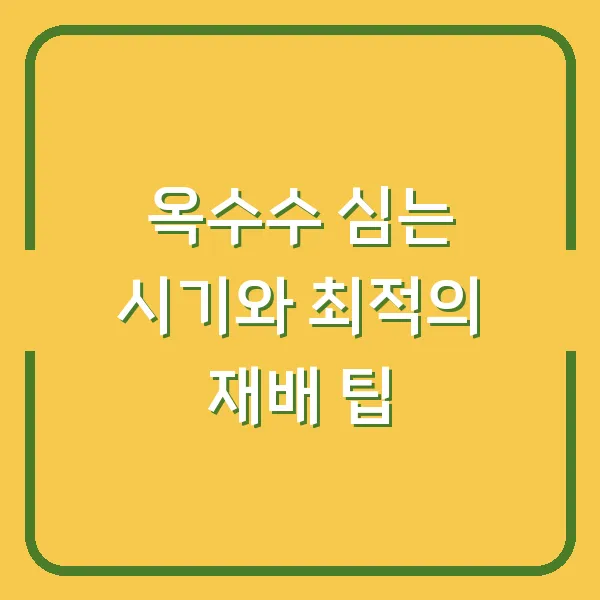 옥수수 심는 시기와 최적의 재배 팁