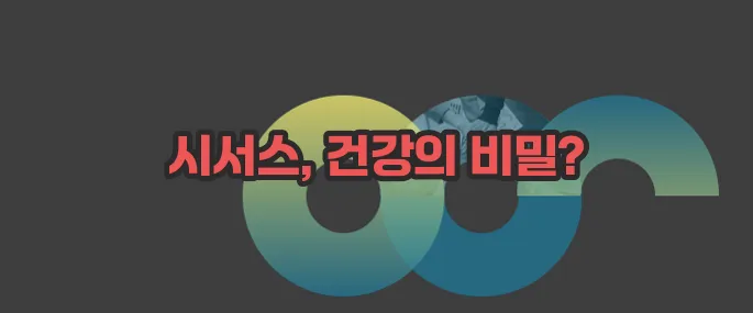 시서스 효능 부작용 섭취방법 알아볼게요