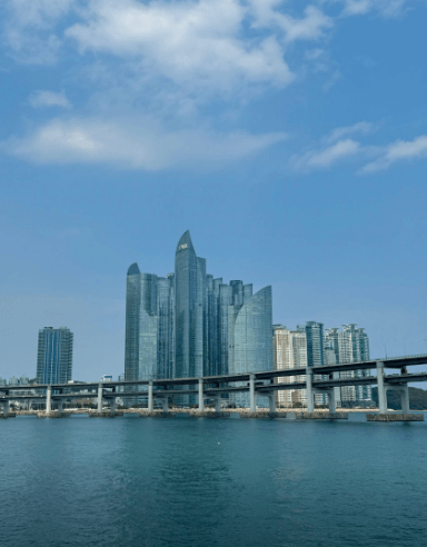 8월 국내 여행지 추천