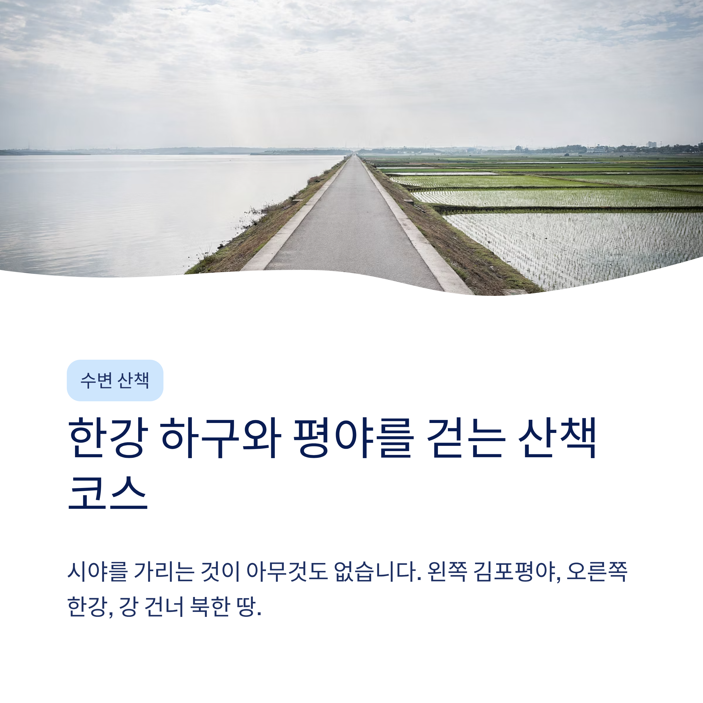 김포 근교 산책 달리기 트레킹 코스 추천 ❘ 한강 하구와 평야가 만드는 서울 옆 힐링 루트