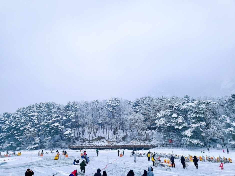 겨울 축제 일정표 커플 여행지