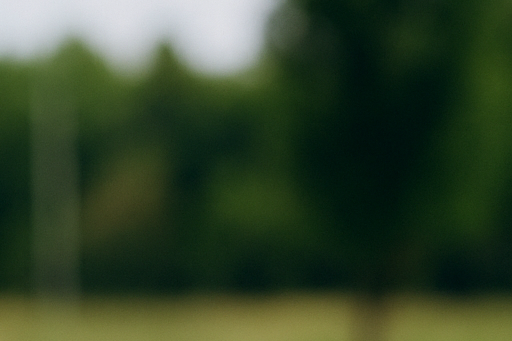 치매 전조증상과 초기증상