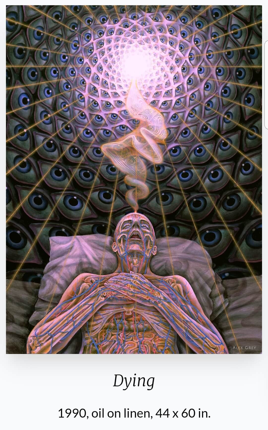Alex Grey (1953~ ) 작품 &amp;#39;Dying&amp;#39;