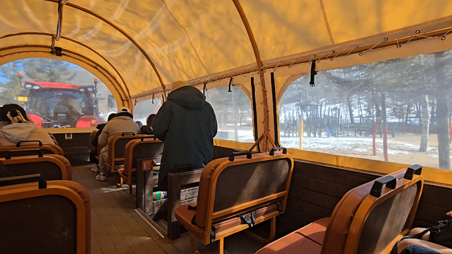 대관령 하늘목장 평창가볼만한곳 횡계가볼만한곳 .체험비.입장료 하늘목장 트랙터마차