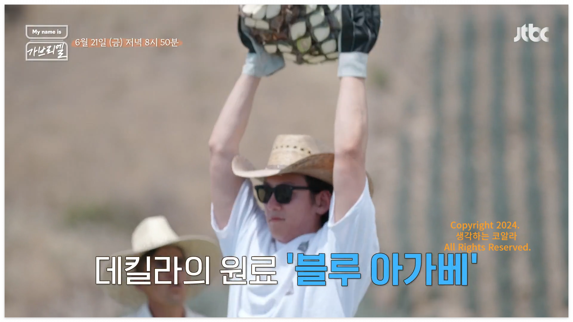 마이네임이즈가브리엘 출연진 지창욱 멕시코 블루 아가베