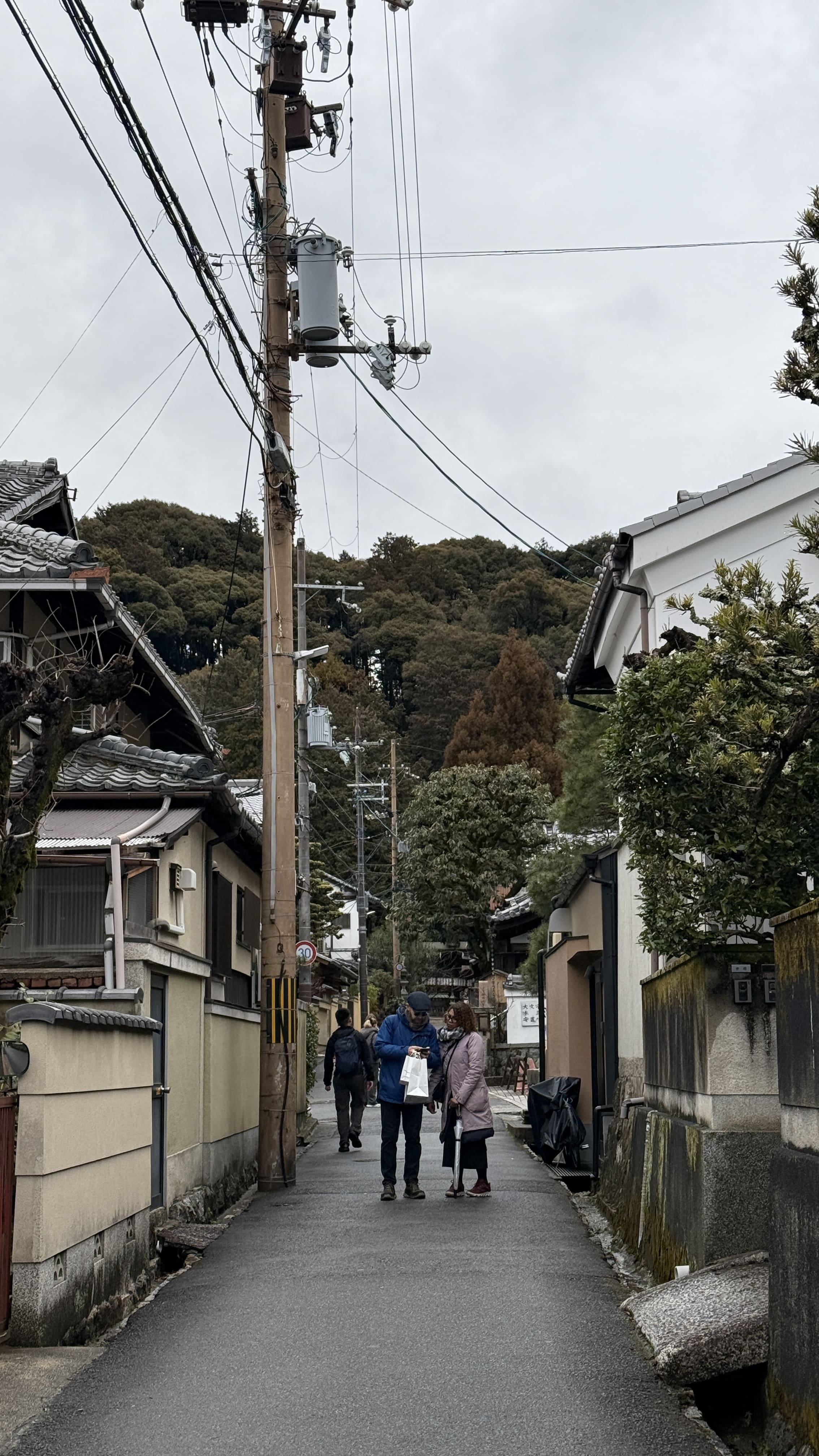 교토-꼭-가봐야-할-곳-교토-은각사-긴카쿠지- 철학의-길-조용한-산책-코스-추천