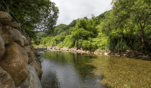 국내 여름 휴가 여행지 추천! 올여름 충북 영동에서 만나는 청정 피서지