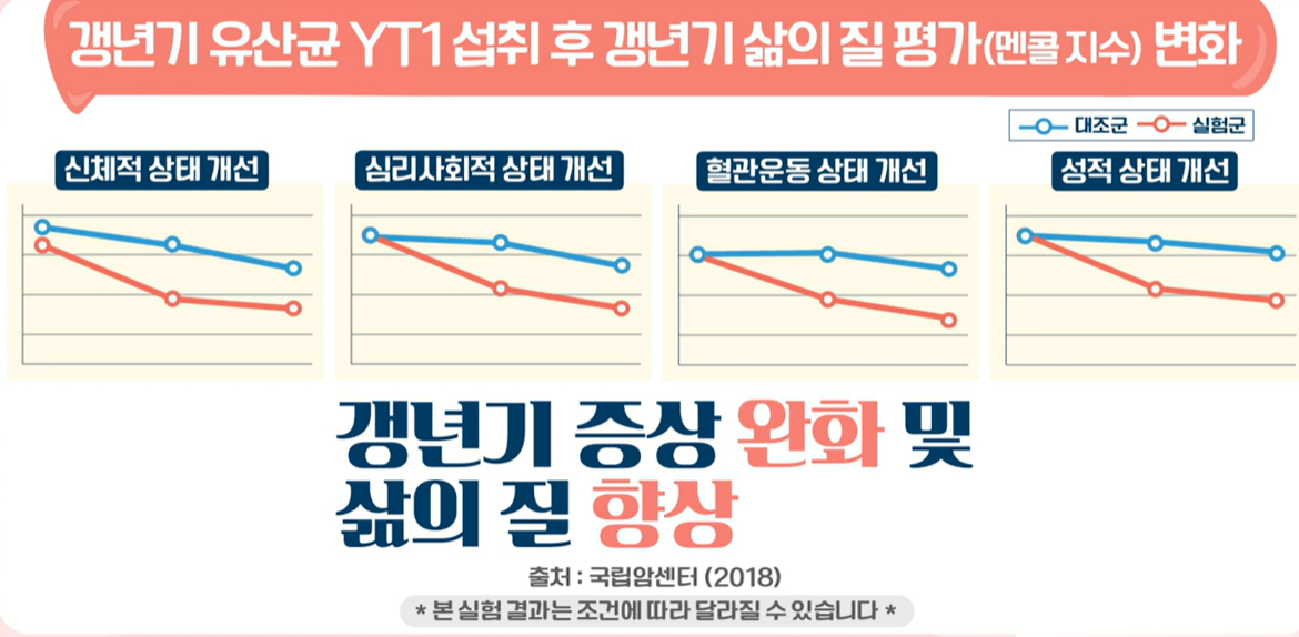 갱년기 유산균 YT1 효능