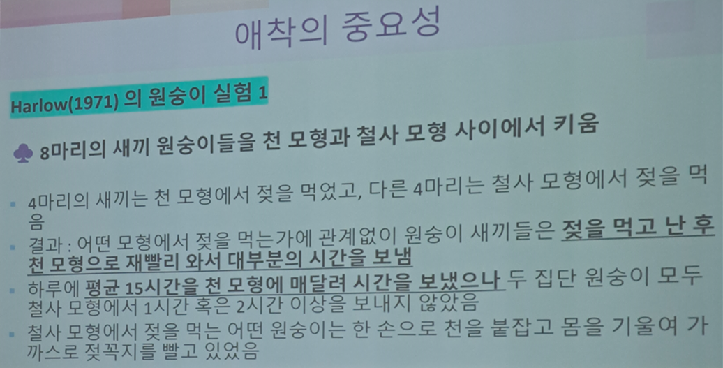 애착형성 할 때 모유수유보다 중요한 것?(feat. 원숭이실험)