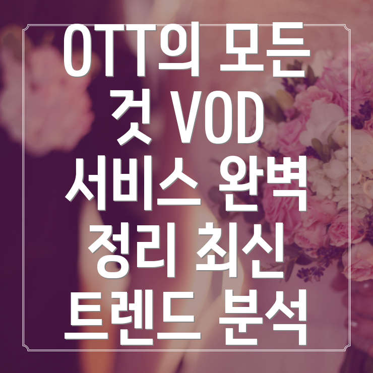 OTT 서비스
