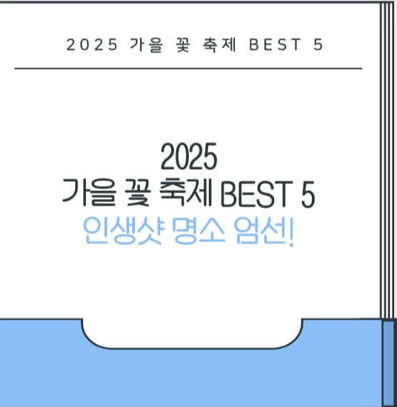 2025 가을 꽃 축제 BEST 5
