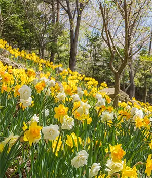 화담숲 테마별 사진