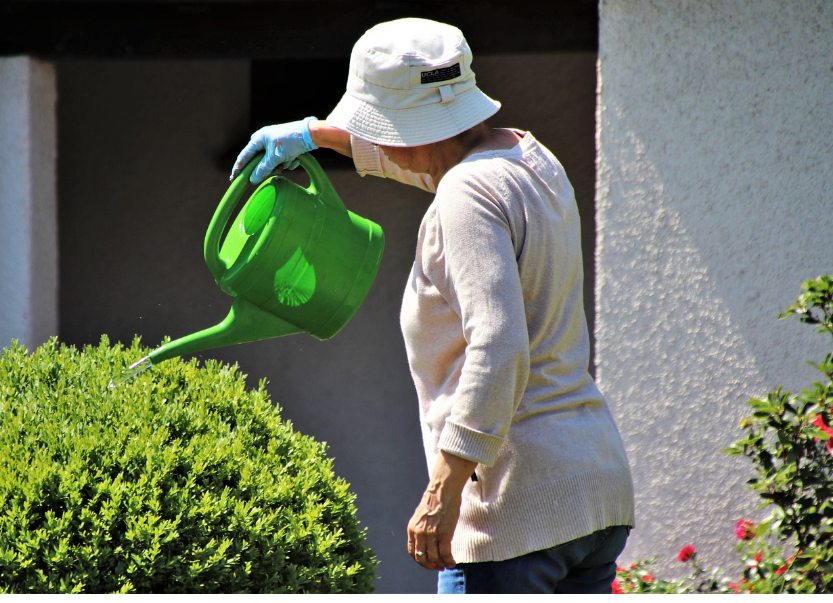 기초연금 월 최대 40만 원 지급! 신청 조건과 대상자 완전 정리