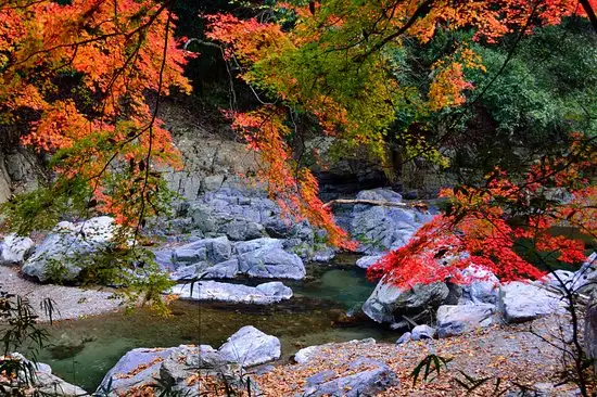 셋쓰쿄 공원 (摂津峡公園)