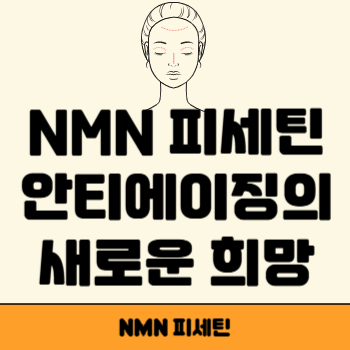 NMN 피세틴 썸네일