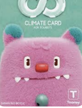 기후동행카드 이용방법 완벽 가이드