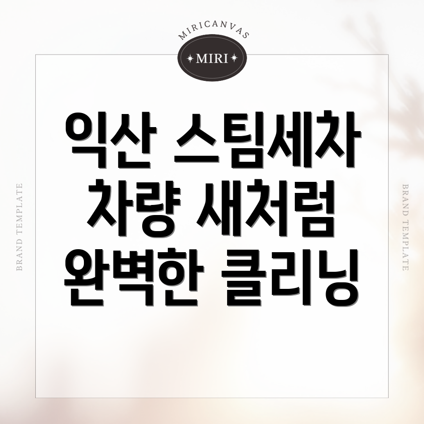스팀세차