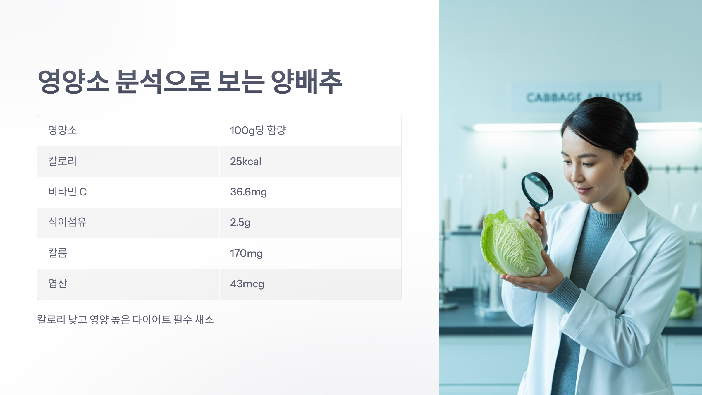 참조-양배추의-효능과-주의사항-3