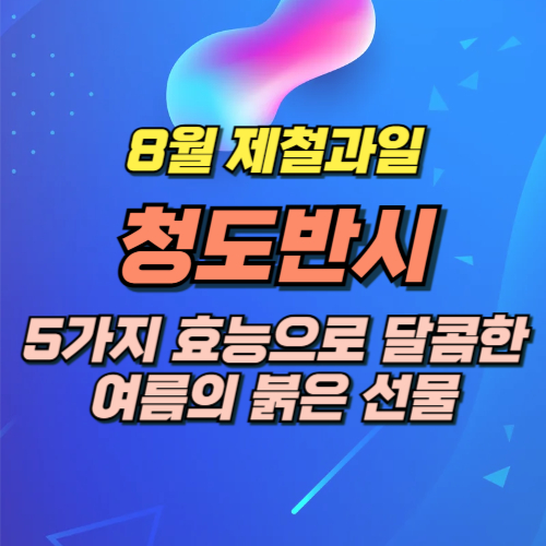 8월 제철음식