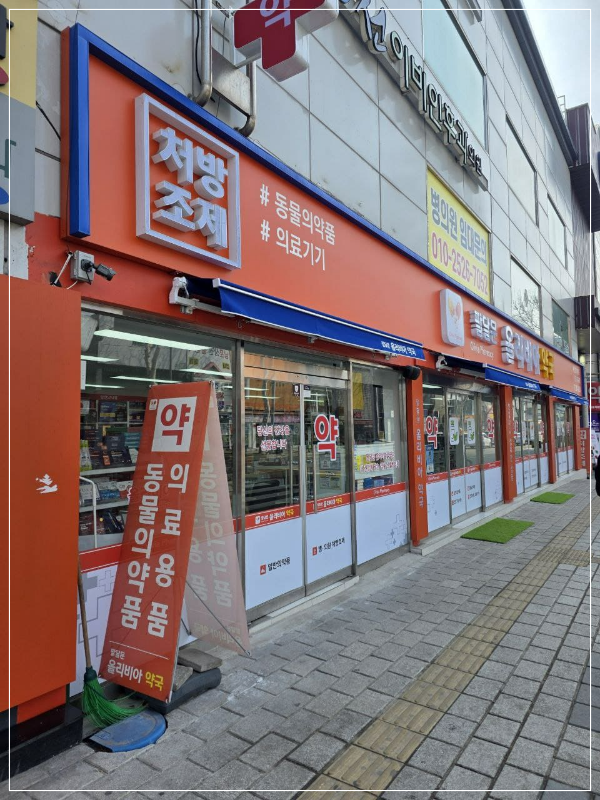 수원 도매약국 25%할인 받고 비맥스메타 구매