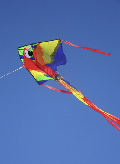 뉴질랜드의 ‘하늘을 나는 연’ : 연을 타고 구름을 넘는 신비로운 축제