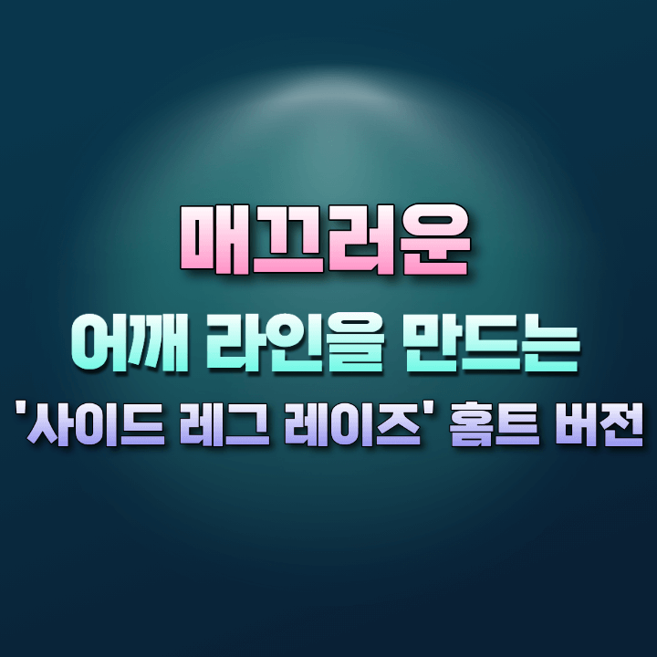 사이드레그레이즈홈트버전