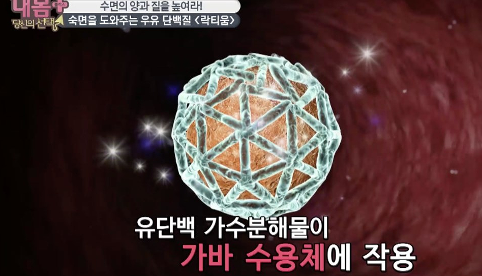 락티움 분말 수면이야기 락티움 가루 효능 부작용