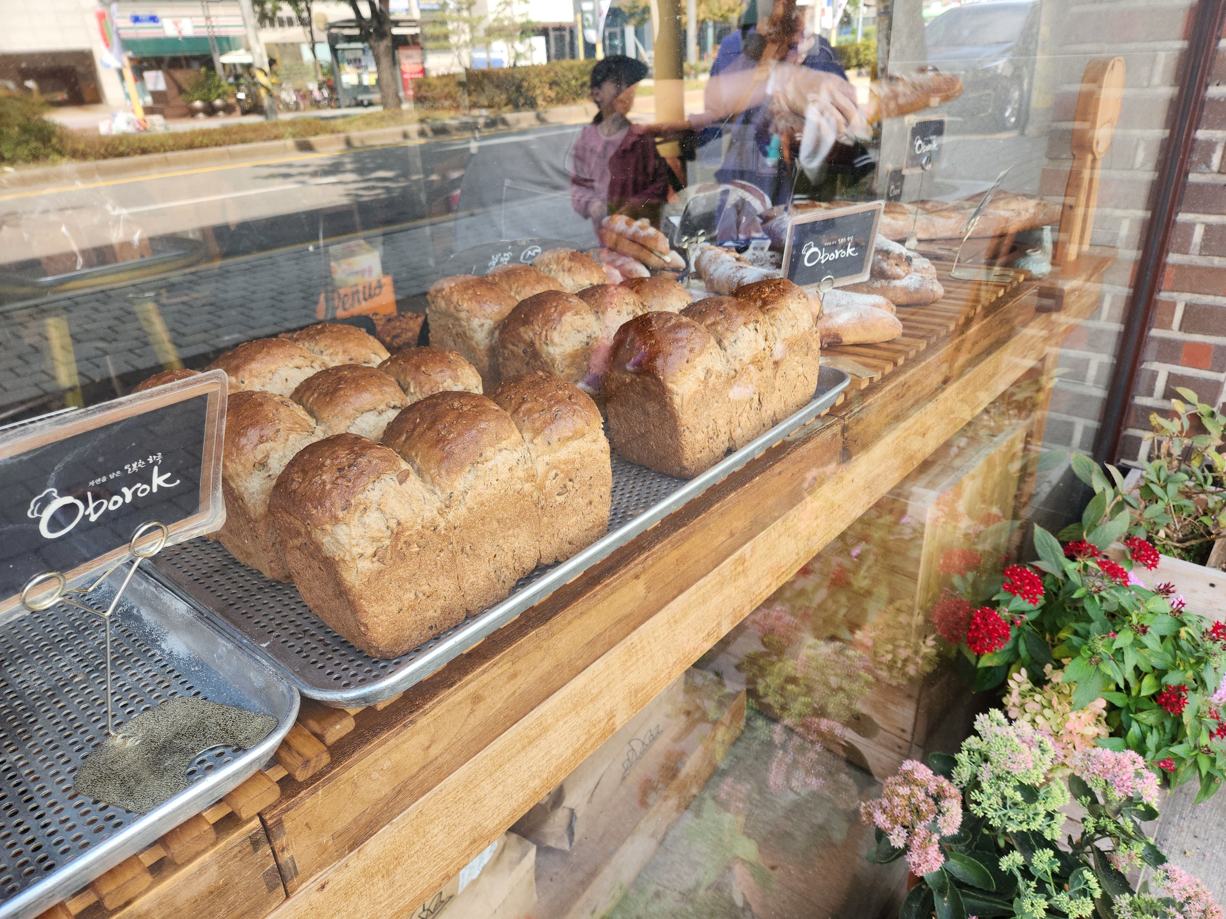 오보록빵집