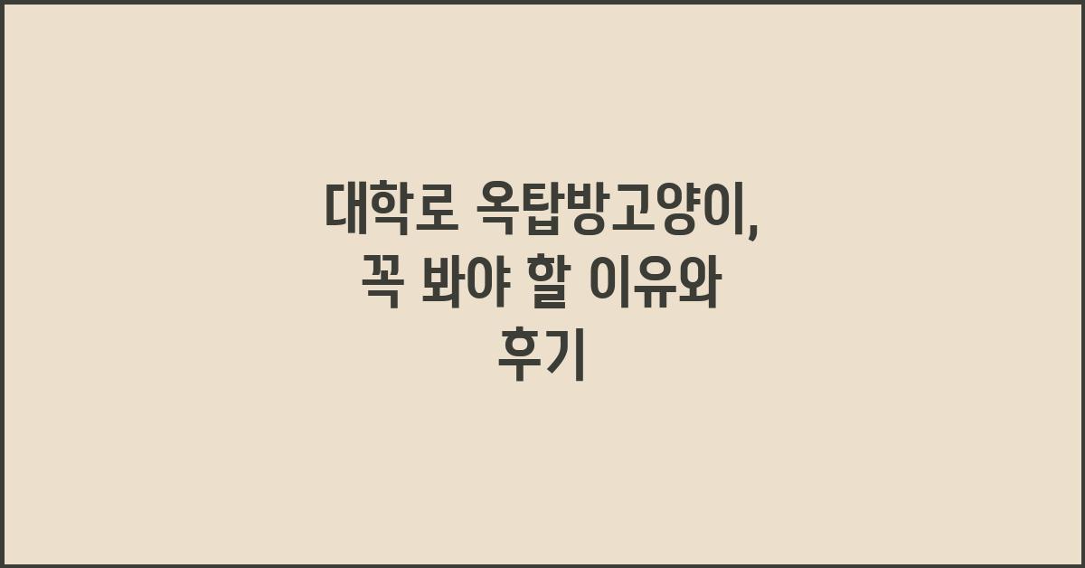 대학로 옥탑방고양이