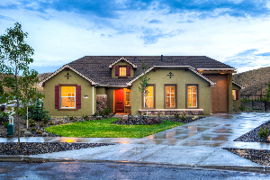 양도소득세 계산기