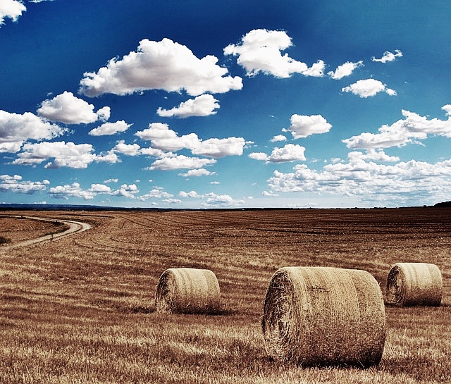 2024년 기본형 공익직불금 신청방법