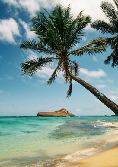 미국하와이여행