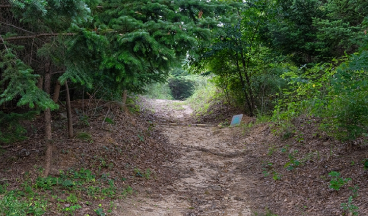 불곡산 등산코스