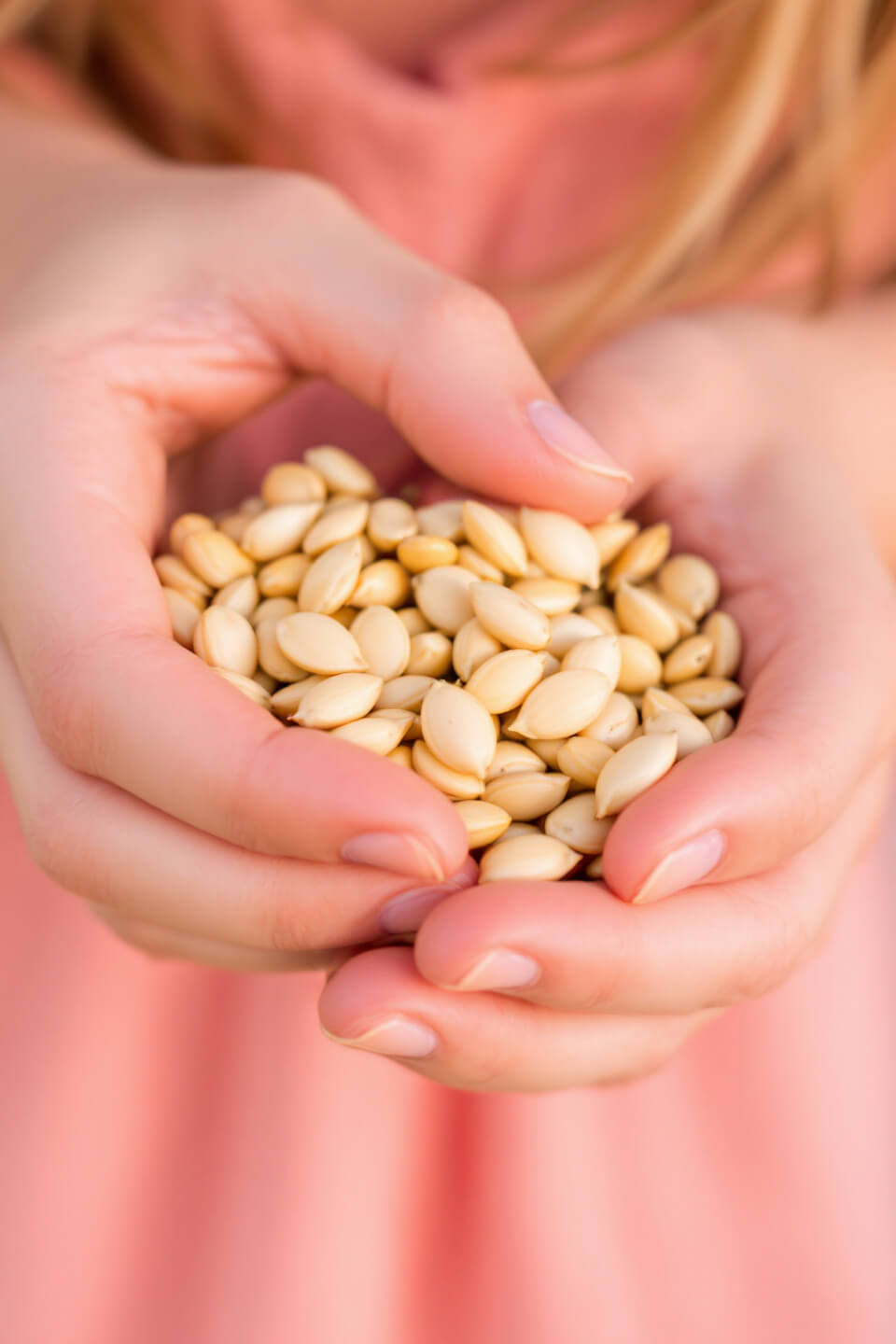 해바라기씨 사진입니다.