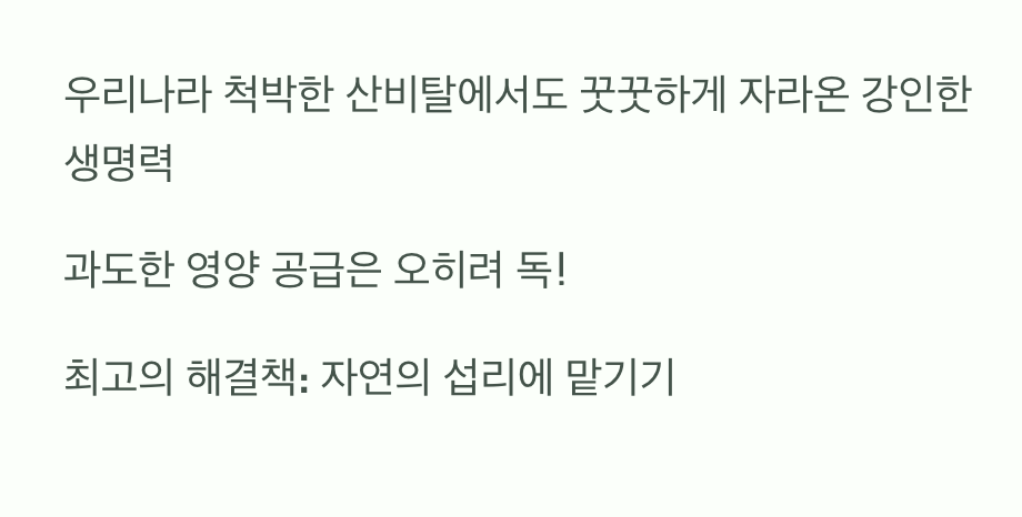 과한 사랑을 거부하는 강인함