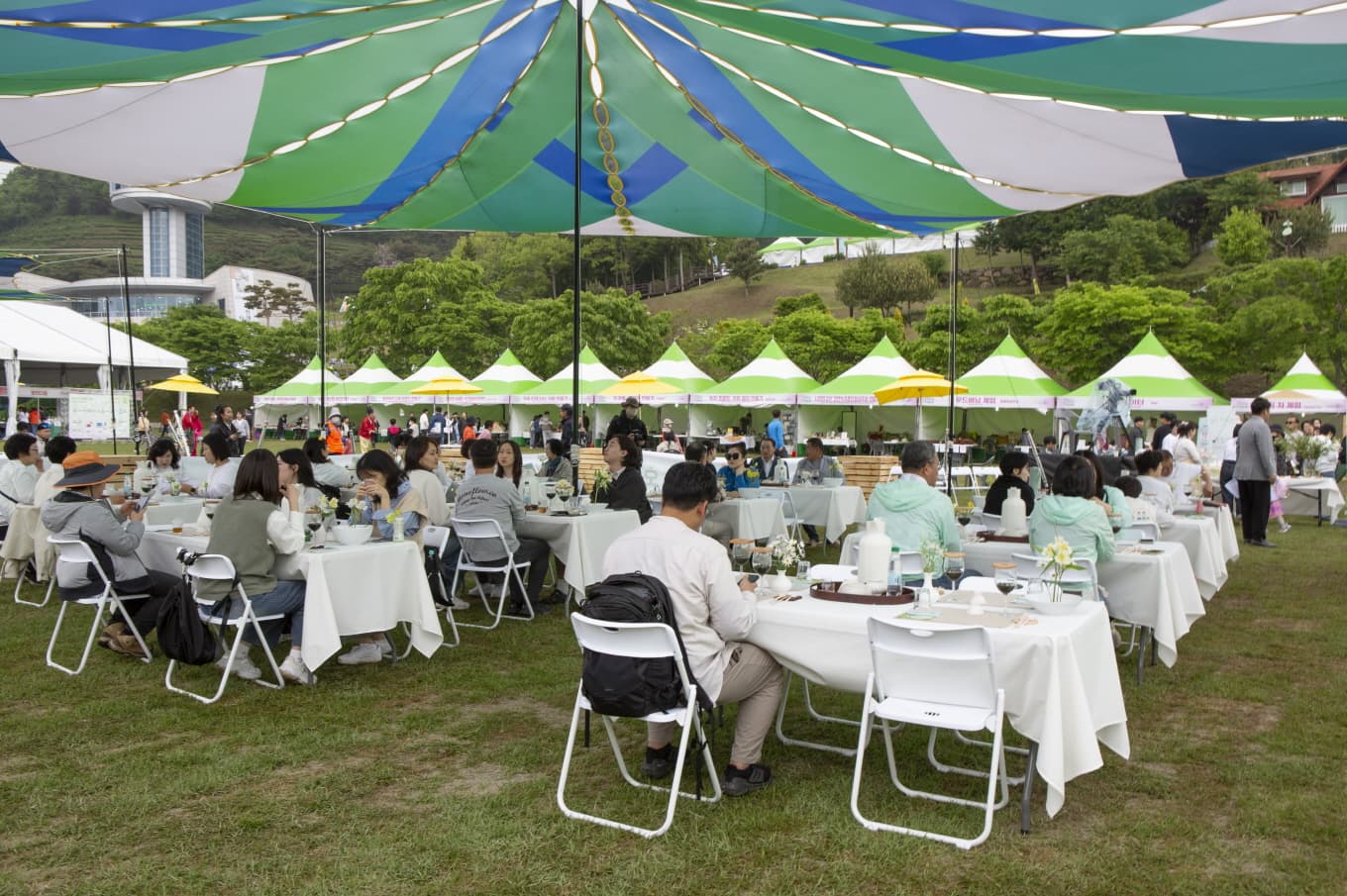 [5월 축제]2025 보성다향대축제❘기간, 일정, 프로그램 예약 방법, 추천코스, 셔틀 정보