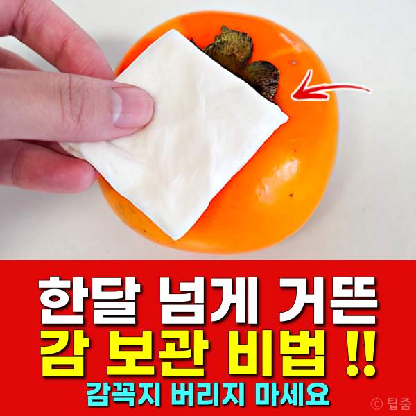 감 보관법,감 보관기간,감꼭지 효능,감꼭지차 만들기