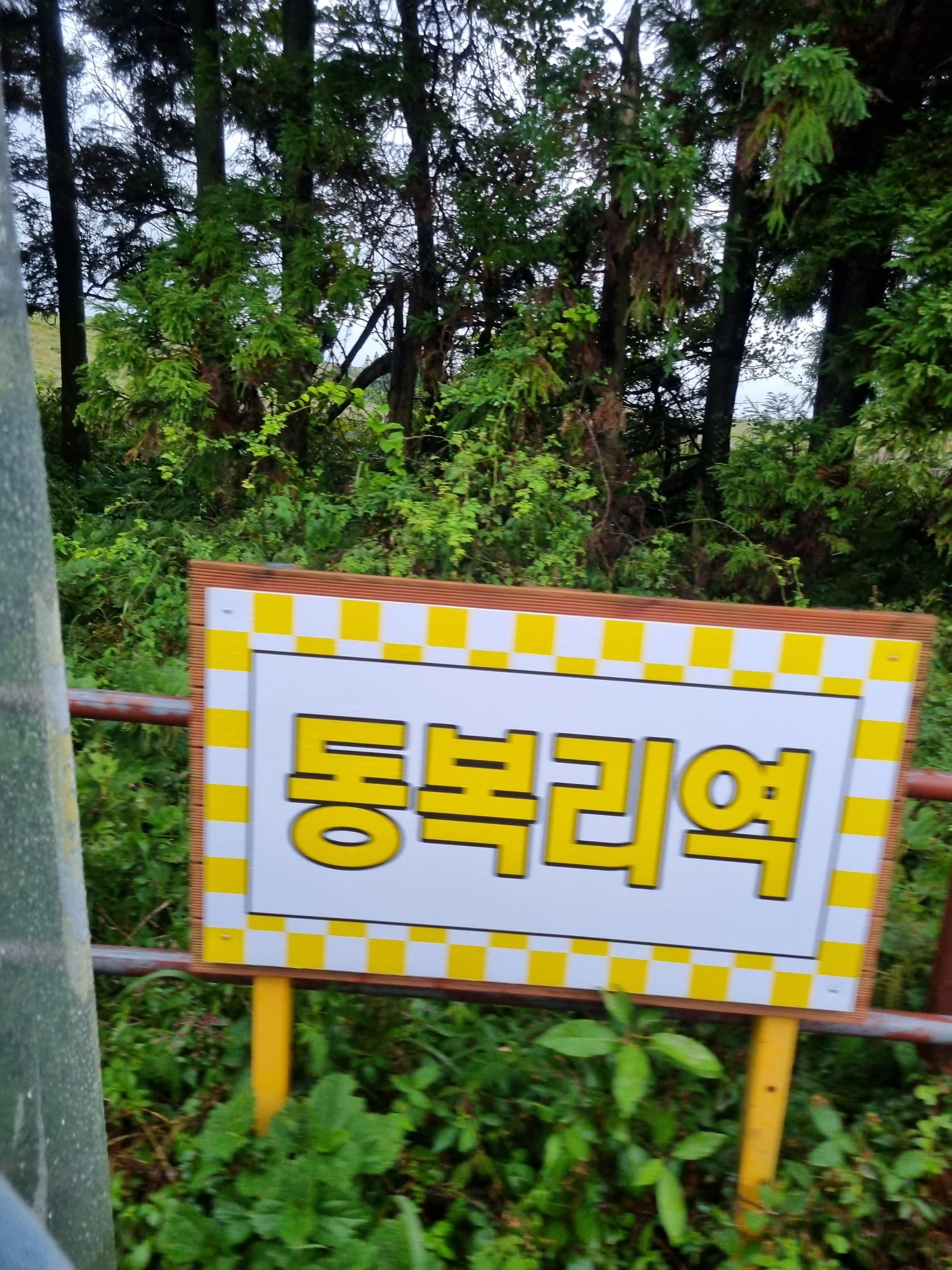 제주레일바이크