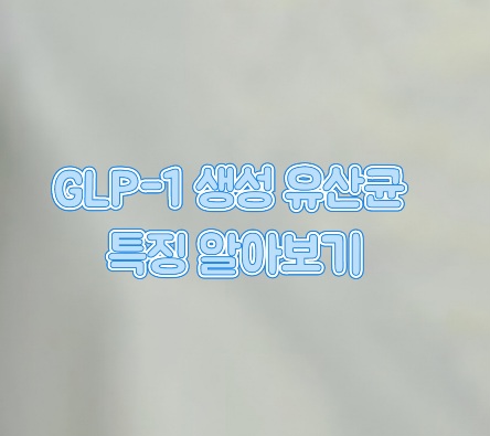 GLP-1-생성-유산균