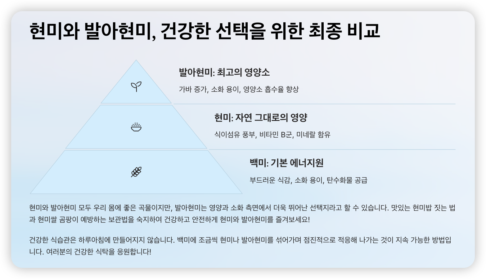 현미-발아현미-비교