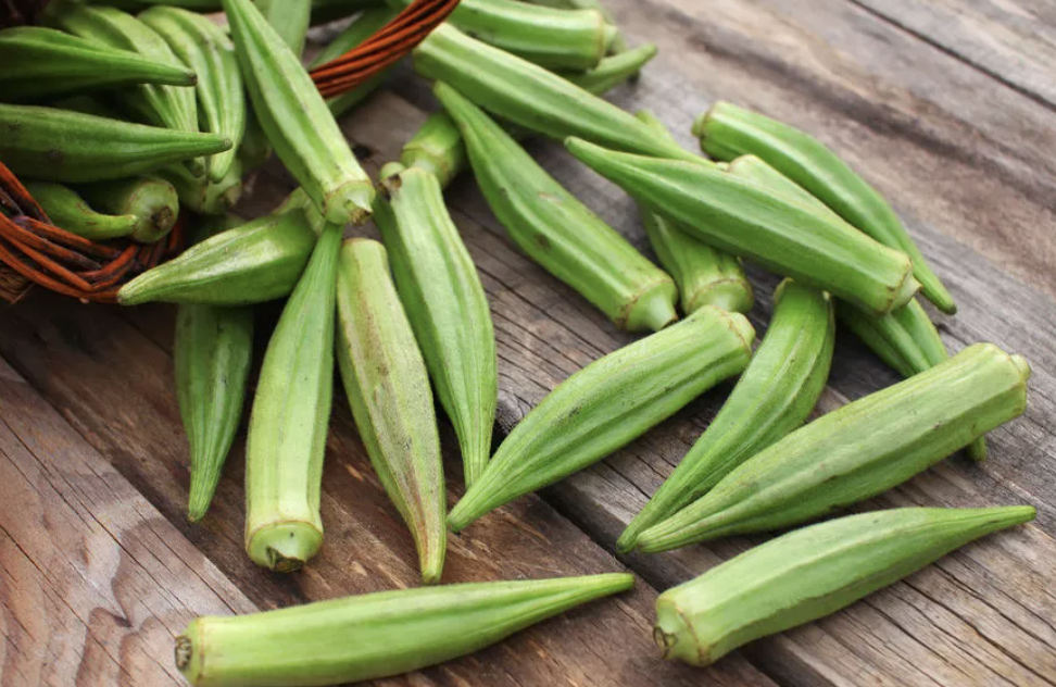 오크라 보관방법